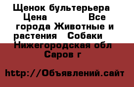 Щенок бультерьера › Цена ­ 35 000 - Все города Животные и растения » Собаки   . Нижегородская обл.,Саров г.